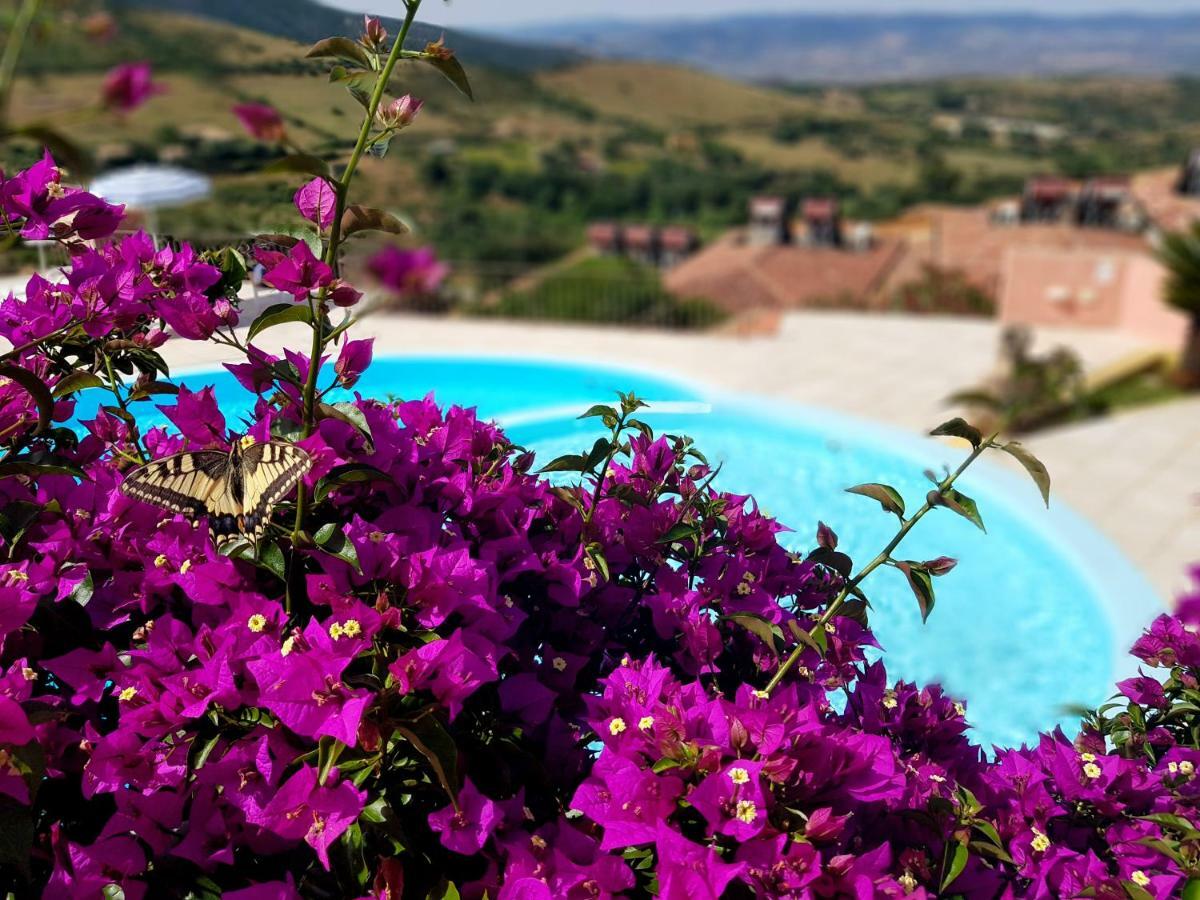 Residence Pala Stiddata With Panoramic Swimming Pool Trinita d'Agultu e Vignola Exterior photo